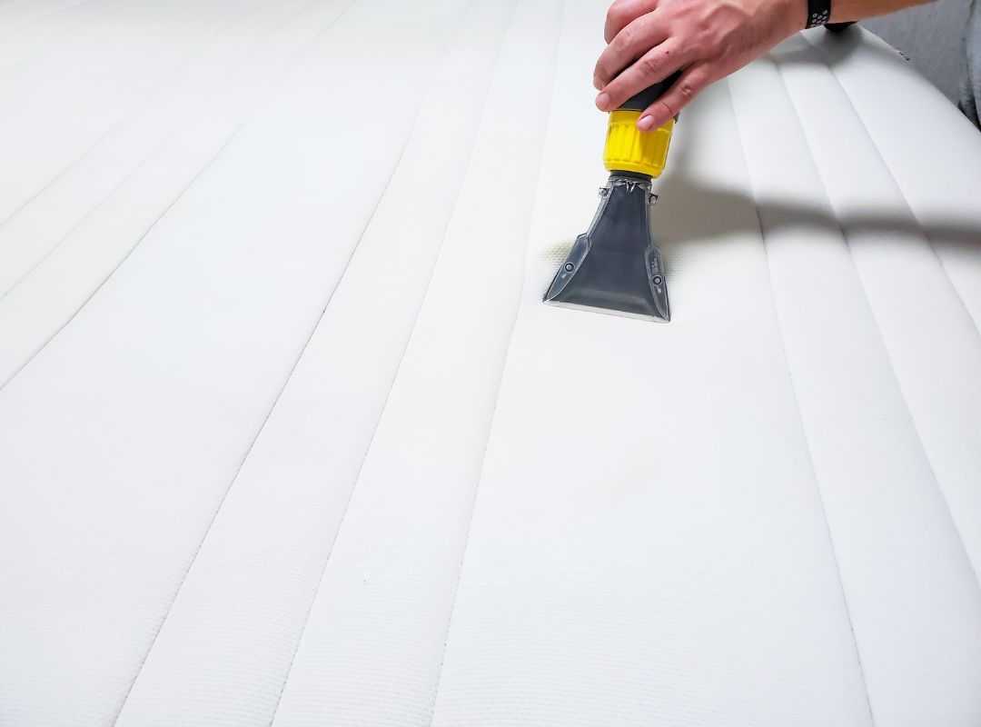 Rug Cleaning